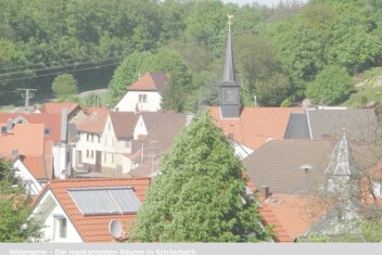 Bilderserien_Schlierbach