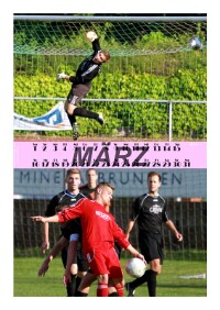 Maerz_2014